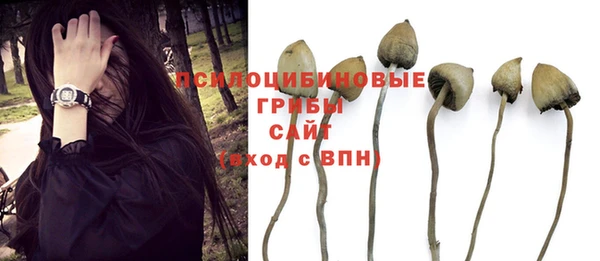 бутик Богородицк