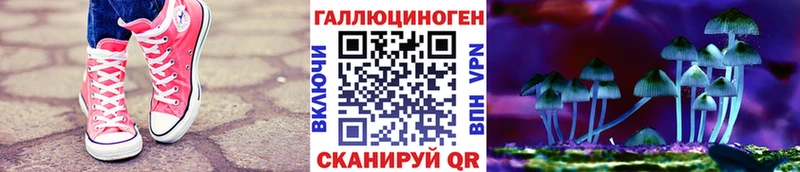 mega вход  Новый Оскол  Псилоцибиновые грибы прущие грибы  сколько стоит 